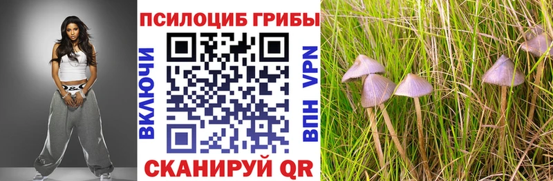мега вход  Билибино  Галлюциногенные грибы мухоморы 